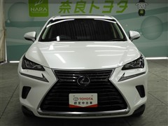 NX300h バージョンL