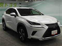 NX300h バージョンL