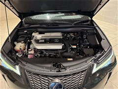 UX250h Fスポーツ