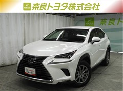NX300 Iパッケージ