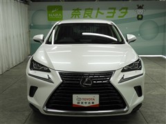 NX300 Iパッケージ