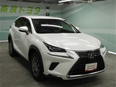 NX300 Iパッケージ