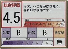 ルーミー G-T
