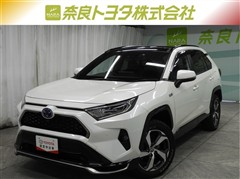 トヨタ RAV4 PHV G