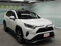 RAV4 PHV G