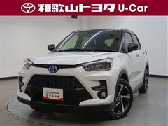 ライズ ハイブリッドZ