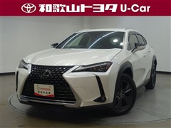 UX250h バージョンC