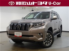 ランドクルーザープラド TZ-G