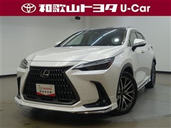 NX250 バージョンL