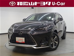 レクサス NX300 スパイス&シック