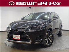 NX300 Iパッケージ