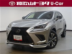 NX300 Fスポーツ