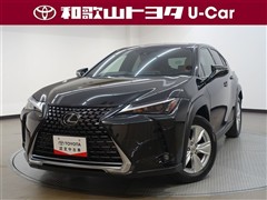 UX250h バージョンC
