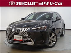 UX250hグレイスフル エクスプロ