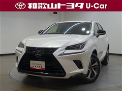 NX300 ブラックシークエンス