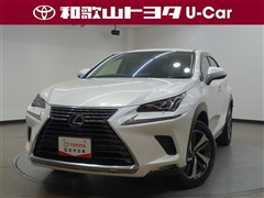 NX300h バージョンL