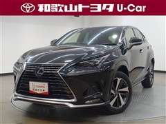 NX300h スパイス&シック