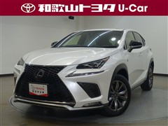 NX300h Fスポーツ