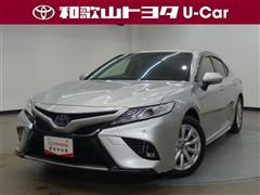 カムリ WS