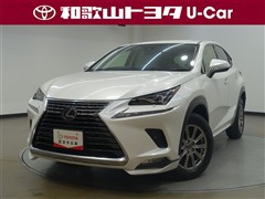 NX300 Iパッケージ