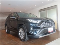 RAV4 G Zパッケージ