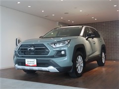 RAV4 アドベンチャー