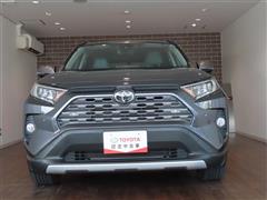 RAV4 G