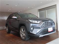 RAV4 G