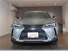 UX300h バージョンL