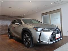 UX300h バージョンL