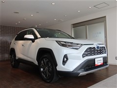 RAV4 ハイブリッドG