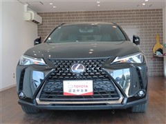 UX250h アーバンエレガンス