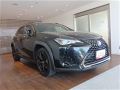 UX250h アーバンエレガンス