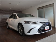 ES300h バージョンL