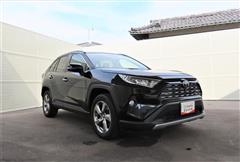 RAV4 G