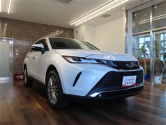 ハリアー Z レザーパッケージ