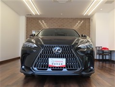 NX250 バージョンL