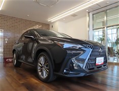 NX250 バージョンL