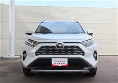 RAV4 G