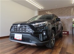 トヨタ RAV4 ハイブリッドG