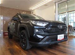 RAV4 アドベンチャーオフパケ2