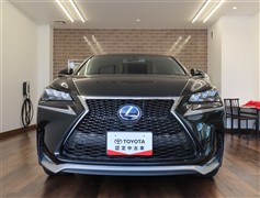 NX300h Fスポーツ
