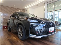 NX300h Fスポーツ