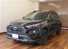 RAV4 HVアドベ オフロード2