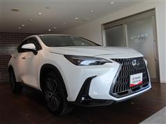 NX350h バージョンL