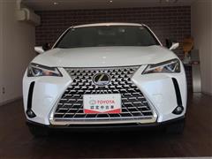 UX250h グレイスフル Exp