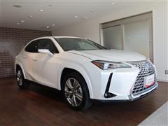 UX250h グレイスフル Exp