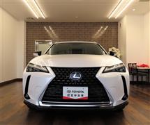 UX250h バージョンL