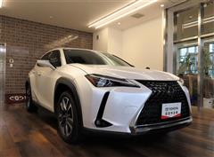 UX250h バージョンL