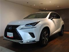 NX300h スパイス&シック